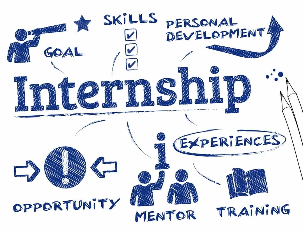 Hand-drawn internship infographic covering goals, skills, mentoring and training